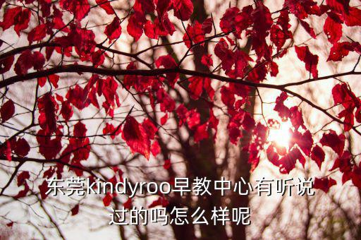 東莞kindyroo早教中心有聽說過的嗎怎么樣呢