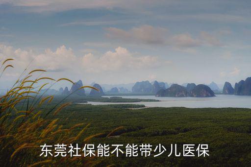 東莞社保能不能帶少兒醫(yī)保