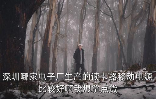 深圳哪家電子廠生產的讀卡器移動電源比較好啊我想拿點貨
