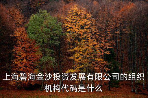 上海市奉賢區陸晟怡，上海昕致商務咨詢有限公司怎么樣