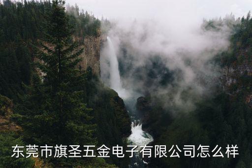 東莞市旗圣五金電子有限公司怎么樣