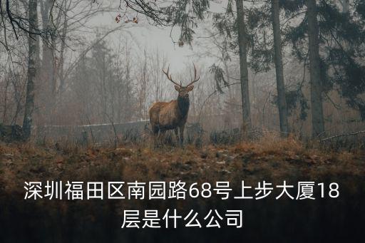 深圳福田區南園路68號上步大廈18層是什么公司