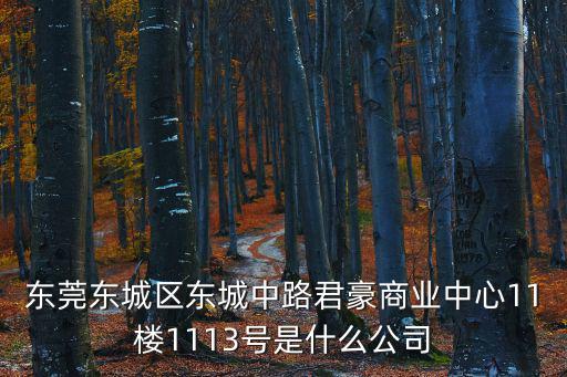 東莞東城區(qū)東城中路君豪商業(yè)中心11樓1113號是什么公司