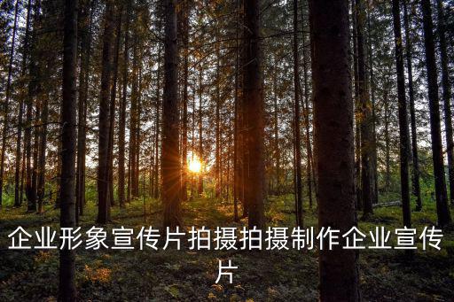 企業(yè)形象宣傳片拍攝拍攝制作企業(yè)宣傳片
