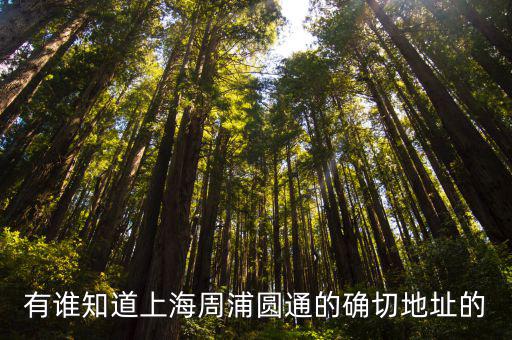 有誰知道上海周浦圓通的確切地址的