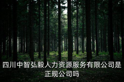 四川中智弘毅人力資源服務有限公司是正規公司嗎