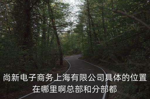 尚新電子商務上海有限公司具體的位置在哪里啊總部和分部都