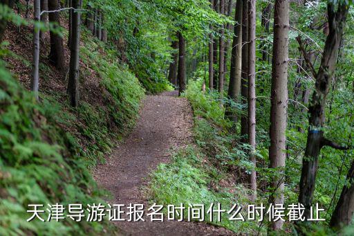 天津?qū)в巫C報(bào)名時(shí)間什么時(shí)候截止