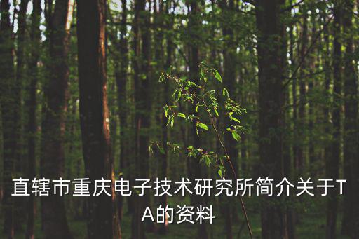 直轄市重慶電子技術研究所簡介關于TA的資料