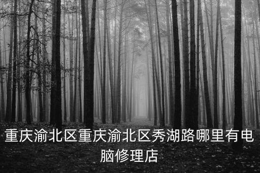 重慶渝北區(qū)重慶渝北區(qū)秀湖路哪里有電腦修理店