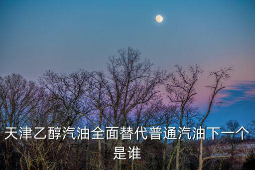 天津乙醇汽油全面替代普通汽油下一個是誰