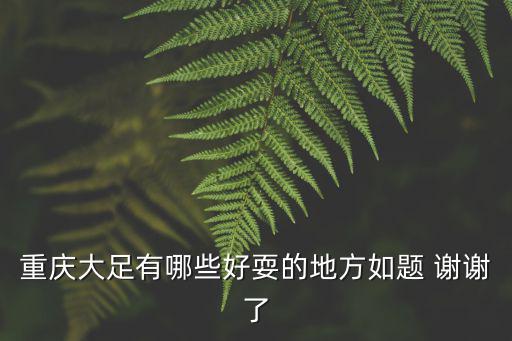 重慶大足有哪些好耍的地方如題 謝謝了