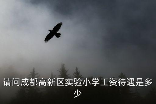 請問成都高新區(qū)實驗小學工資待遇是多少