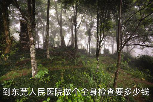 到東莞人民醫(yī)院做個全身檢查要多少錢