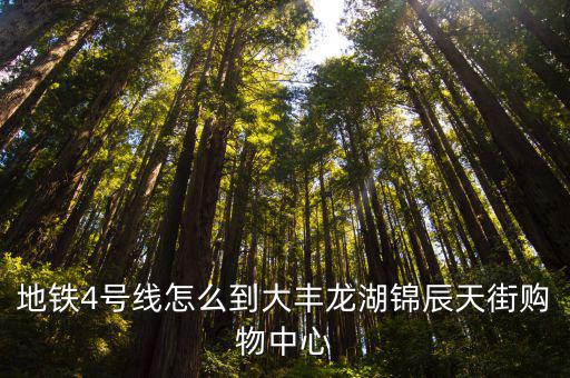 地鐵4號線怎么到大豐龍湖錦辰天街購物中心