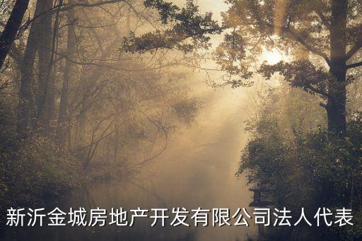 新沂金城房地產開發有限公司法人代表
