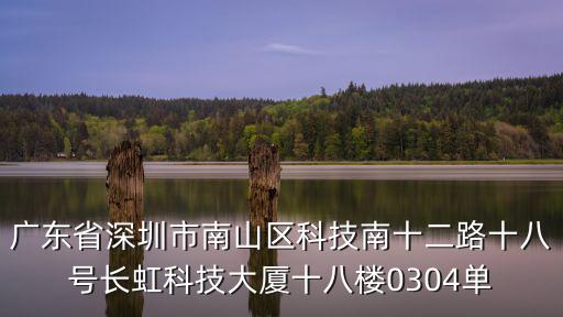 廣東省深圳市南山區科技南十二路十八號長虹科技大廈十八樓0304單