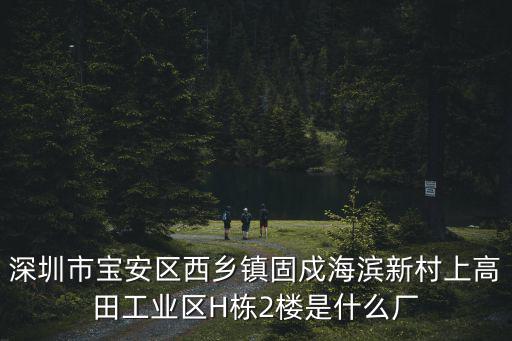 深圳市寶安區西鄉鎮固戍海濱新村上高田工業區H棟2樓是什么廠