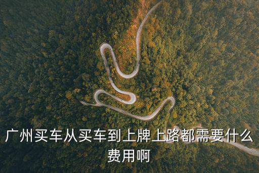 廣州買車從買車到上牌上路都需要什么費用啊