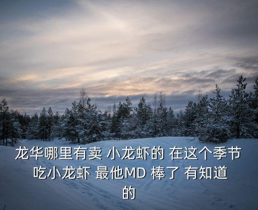 龍華哪里有賣 小龍蝦的 在這個季節 吃小龍蝦 最他MD 棒了 有知道的