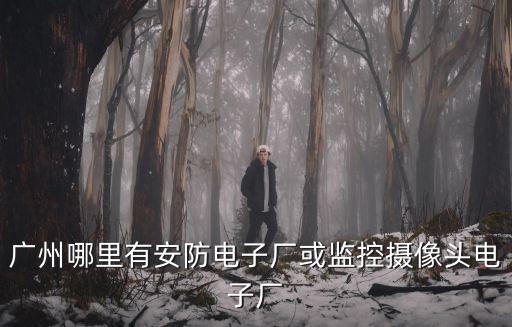 廣州哪里有安防電子廠或監控攝像頭電子廠