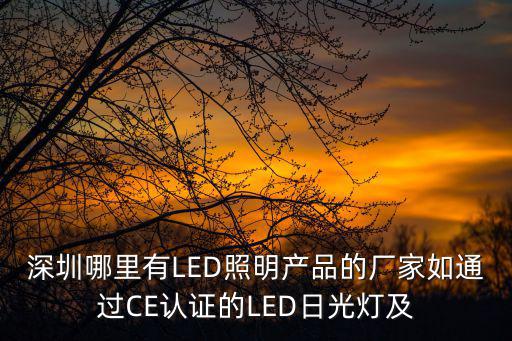 深圳哪里有LED照明產(chǎn)品的廠家如通過(guò)CE認(rèn)證的LED日光燈及
