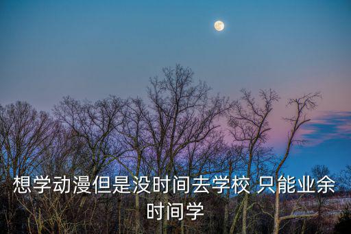 想學動漫但是沒時間去學校 只能業余時間學