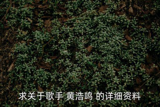 求關于歌手 黃浩鳴 的詳細資料