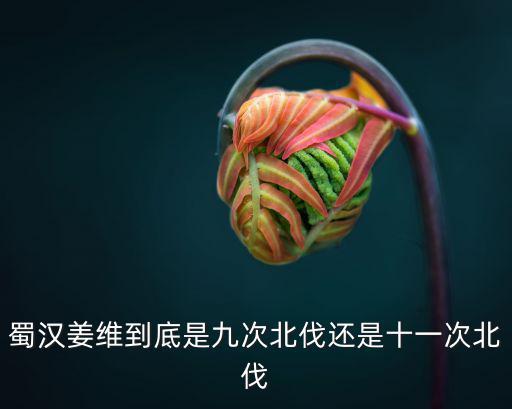 蜀漢姜維到底是九次北伐還是十一次北伐