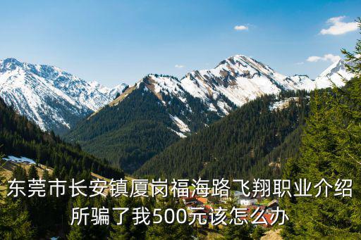 東莞市長安鎮廈崗福海路飛翔職業介紹所騙了我500元該怎么辦