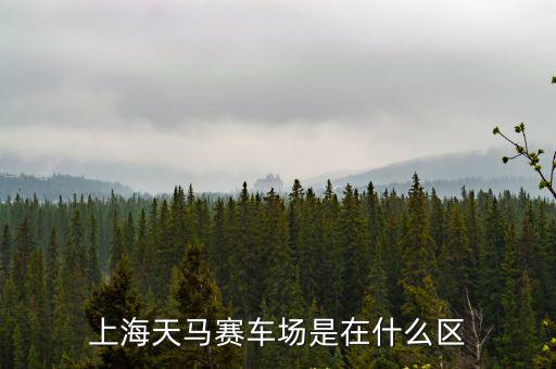 上海天馬賽車場是在什么區