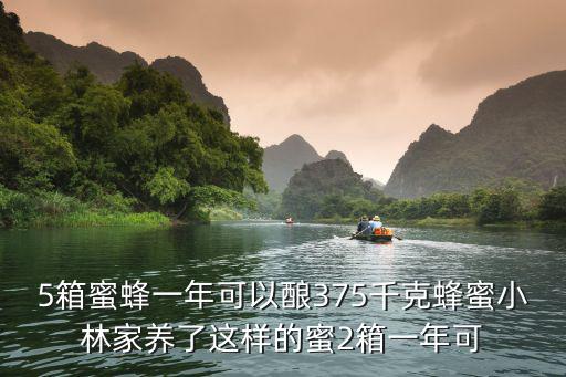 5箱蜜蜂一年可以釀375千克蜂蜜小林家養了這樣的蜜2箱一年可