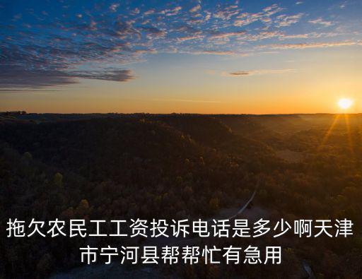 拖欠農(nóng)民工工資投訴電話是多少啊天津市寧河縣幫幫忙有急用