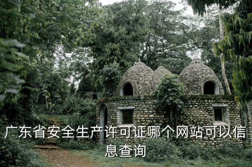 廣東省安全生產許可證哪個網站可以信息查詢