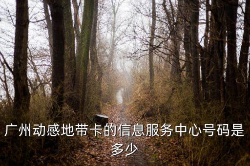 廣州動感地帶卡的信息服務中心號碼是多少