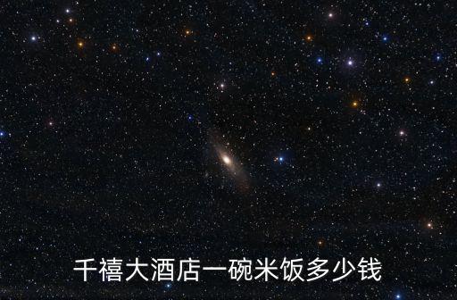 千禧大酒店一碗米飯多少錢