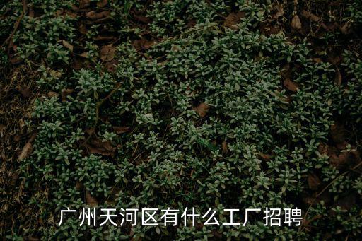 廣州天河區(qū)有什么工廠招聘