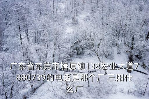 廣東省東莞市塘廈鎮138宏業大道7880739的電話是那個廠 三陽什么廠