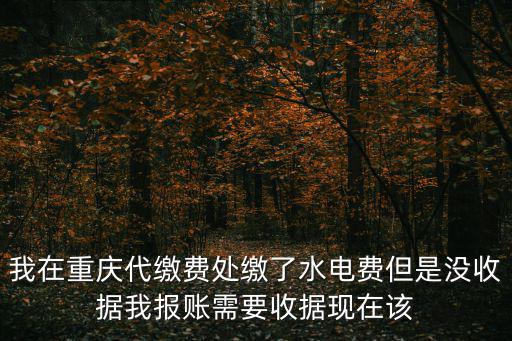 我在重慶代繳費處繳了水電費但是沒收據我報賬需要收據現在該