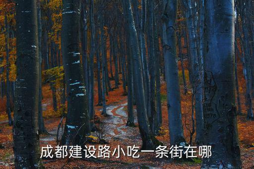 成都建設路小吃一條街在哪