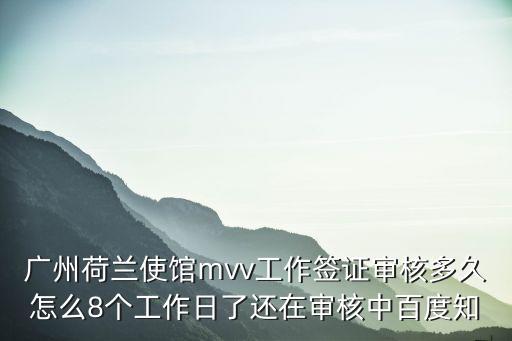 廣州荷蘭使館mvv工作簽證審核多久怎么8個工作日了還在審核中百度知
