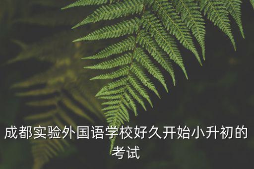 成都實驗外國語學校好久開始小升初的考試