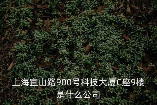 上海宜山路900號科技大廈C座9樓是什么公司