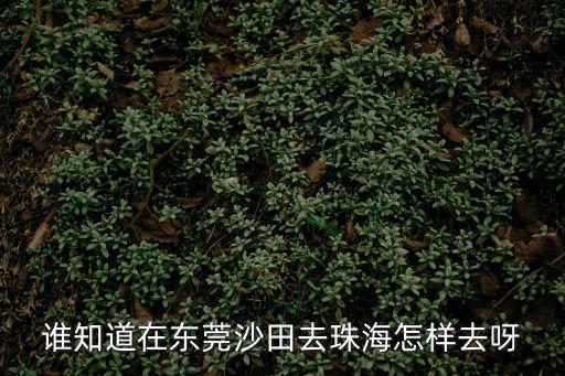 誰知道在東莞沙田去珠海怎樣去呀