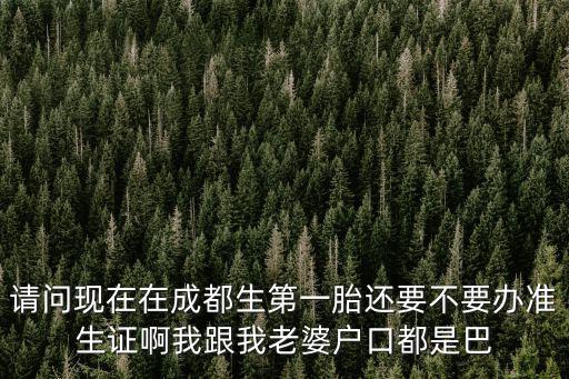 請問現在在成都生第一胎還要不要辦準生證啊我跟我老婆戶口都是巴