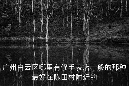 廣州白云區哪里有修手表店一般的那種最好在陳田村附近的