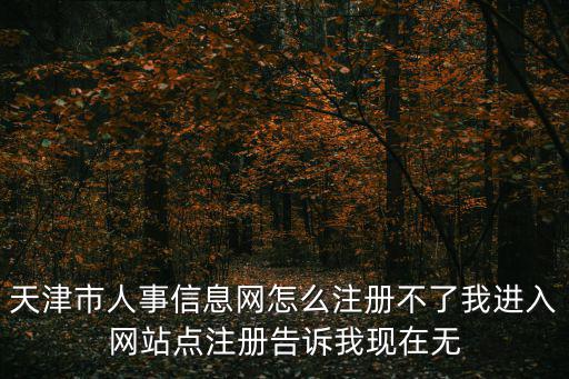 天津市人事信息網(wǎng)怎么注冊不了我進入網(wǎng)站點注冊告訴我現(xiàn)在無
