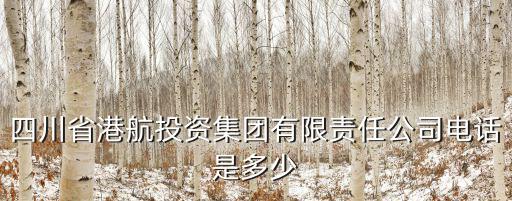 四川省港航投資集團有限責任公司電話是多少