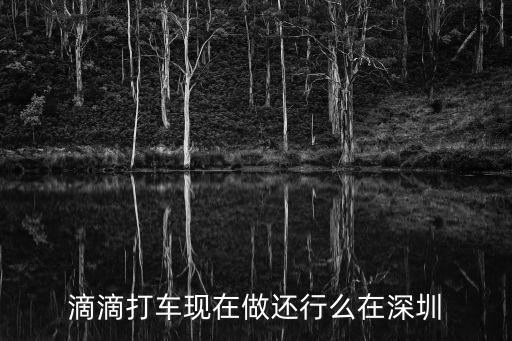 滴滴打車現在做還行么在深圳