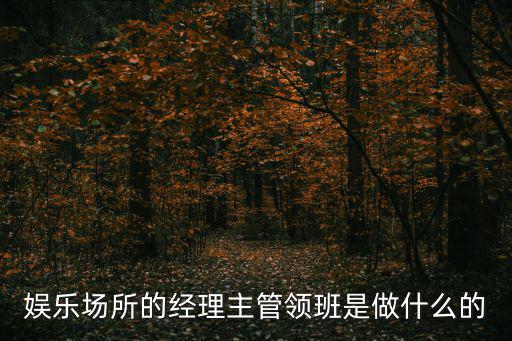 娛樂場所的經理主管領班是做什么的